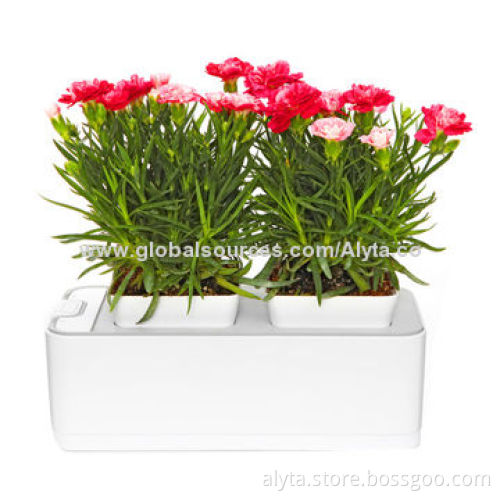 Multifunction Aquarium LED Lamp with Auto-watering, Measures 26.5 x 11.5 x 11.4cm